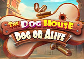 The Dog House Dog or Alive